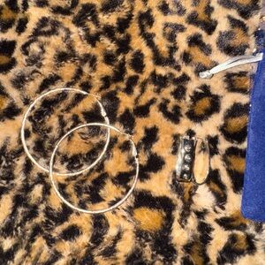 Elegant Silver Hoop Earrings set